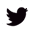 icon twitter